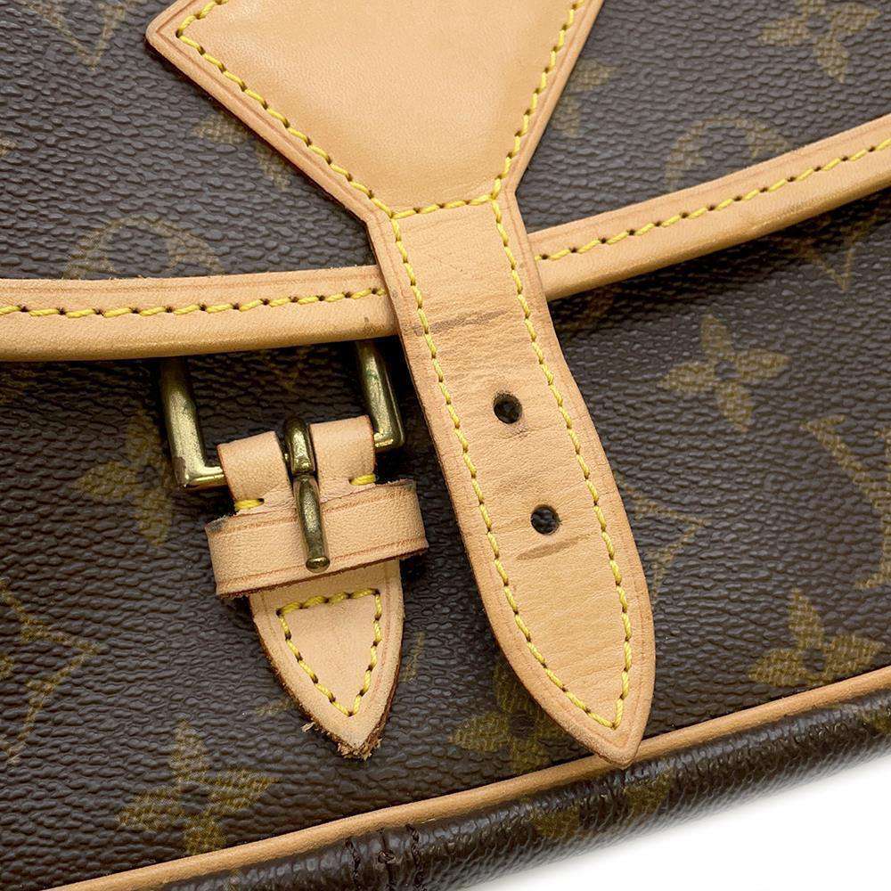 Louis Vuitton Shoulder Sologne Monogram Bag - Picture 11 of 12